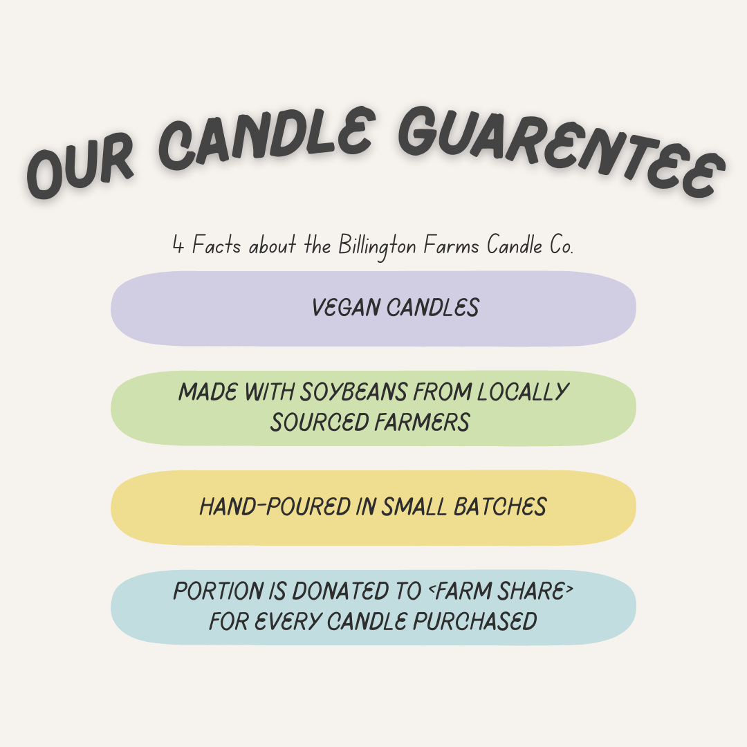 New Home Smell 100% Soy Wax Candles | Hand Poured