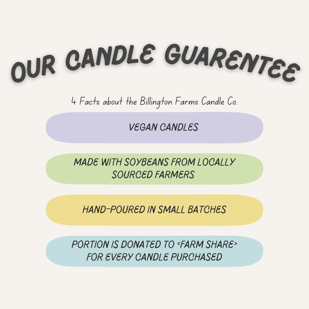 Buzz Off Mosquitos (Citronella) 100% Soy Wax Candles | Hand Poured