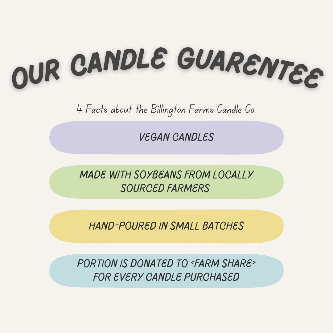 Swirly Twirly Gumdrops |  candle | 100% Soy Wax | Fruity Gumdrop Scented Candles |