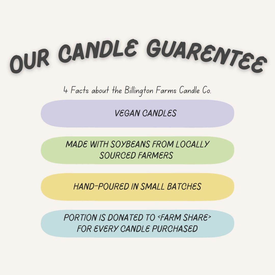 Wanderlust | 100% Soy Scented Candle | Cottagecore Inspired